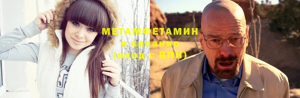 прущие грибы Баксан