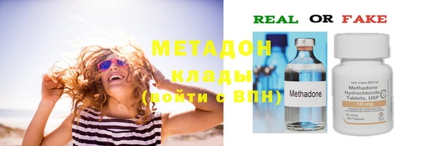 прущие грибы Баксан