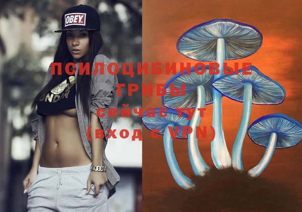 гидропоника Балахна