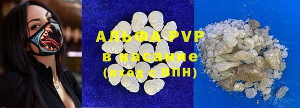 прущие грибы Баксан