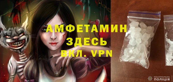 прущие грибы Баксан